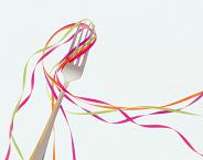 fo1953smp 000 Picture Gallery